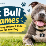 Pit Bull Names